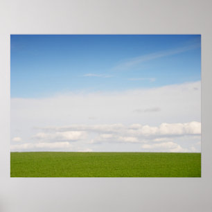 Green Grass Poster