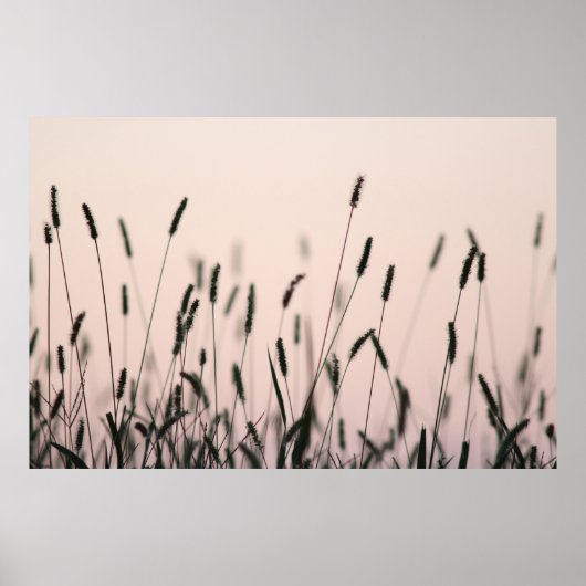 GREEN GRASS POSTER (Voorkant)