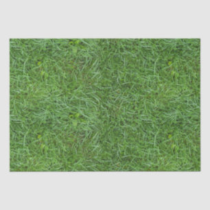 Green Grass Tissuepapier