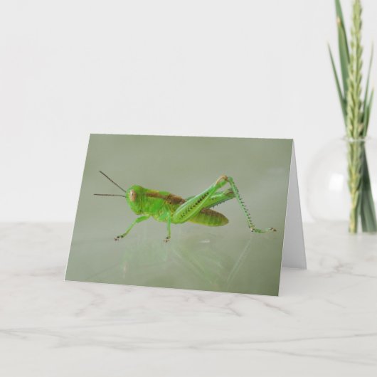 Green Grasshopper kaart (Voorkant)