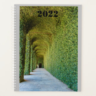 green greenhouse ficus repens on planner