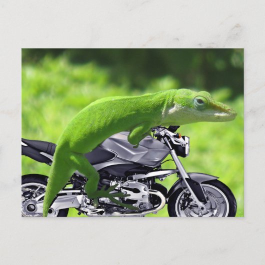 Green Hawaiian Gecko Rider Briefkaart (Voorkant)