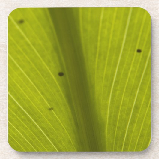 Green Hawaiin Leaf Close Drankjes Onderzetter (Voorkant)