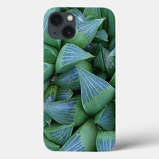 Green Haworth coque iphone Plante succulent (Verso)