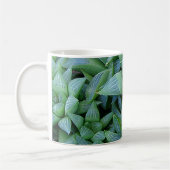 Green Haworth Succulent Plante Gardener Mug (Gauche)