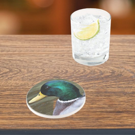 Green Headed Mallard Duck Photo Sandstone Zandsteen Onderzetter