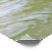 Green Heron Bird Photo Poster (Hoek)