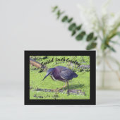 Green Heron Briefkaart (Staand voorkant)