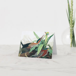 Green Heron door John James Audubon Bedankkaart