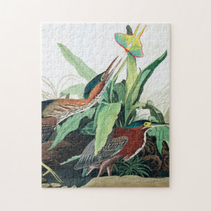 Green Heron door John James Audubon Legpuzzel