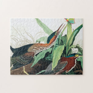 Green Heron door John James Audubon Legpuzzel