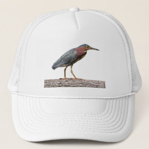 Green Heron Trucker Pet