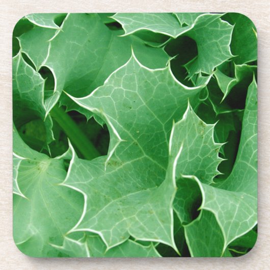 Green Holly Sluiten Set van Kork Onderzetters (Voorkant)