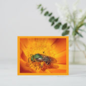 Green Hornet Briefkaart (Staand voorkant)