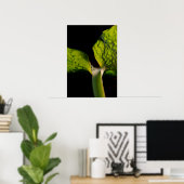 Green Hosta Leaf op zwart Poster (Thuiskantoor)