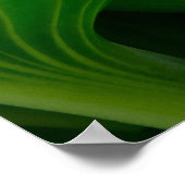 Green Hosta Leaf Poster (Hoek)