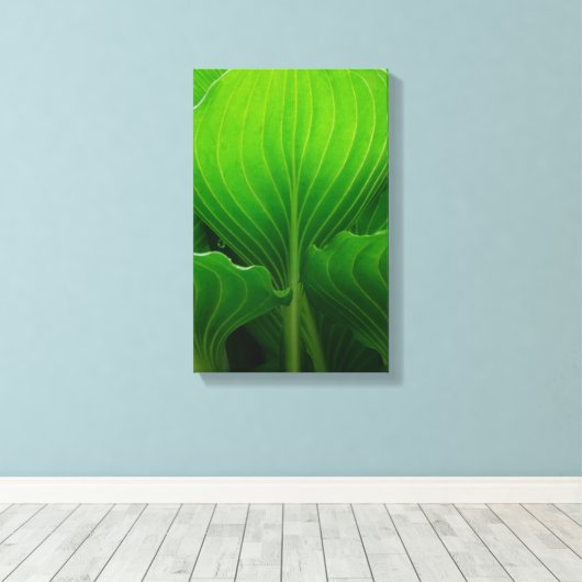 Green Hosta Leaves Canvas Afdruk (Insitu (Houten vloer))