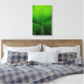 Green Hosta Leaves Canvas Afdruk (Insitu (Slaapkamer))