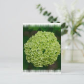 Green Hydrangea Briefkaart (Staand voorkant)