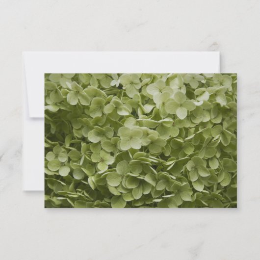 Green Hydrangea Floral Wedding RSVP Kaartje (Achterkant)