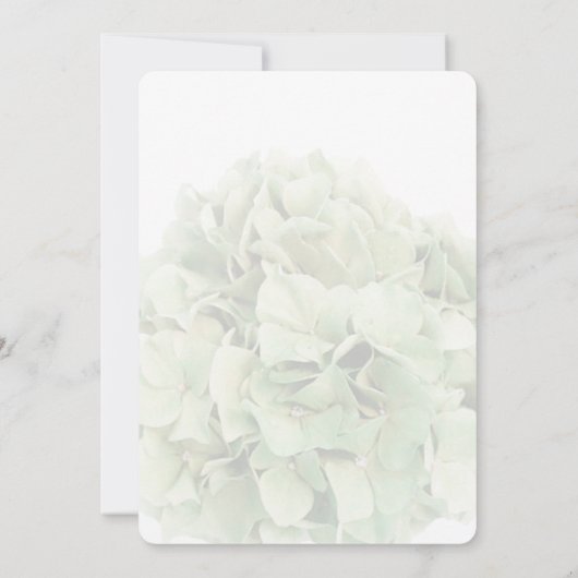 Green Hydrangea Spring Garden Invitations de maria (Dos)