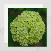 Green Hydrangea-uitnodigingen Kaart (Voorkant / Achterkant)