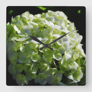 Green Hydrangeas Flowers Vierkante Klok