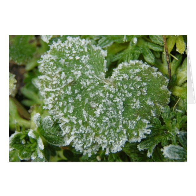 Green Icy Heart (Devant horizontal)