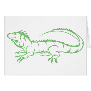 Green Iguana