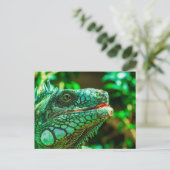 Green Iguana Briefkaart (Staand voorkant)