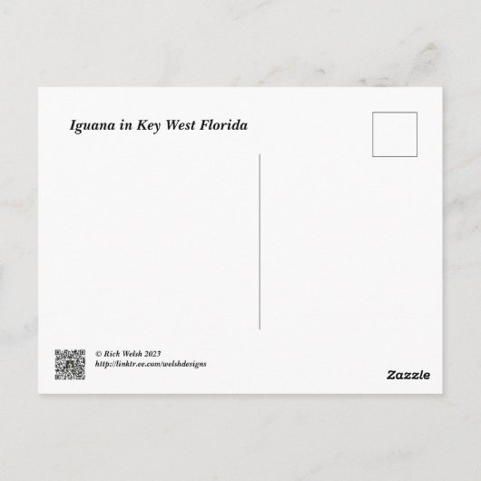 Green iguana in Key West Florida Briefkaart (Achterkant)