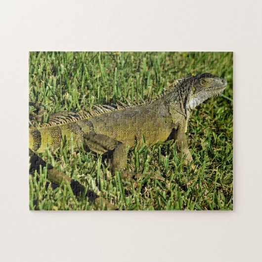 Green Iguana Lizard in Grass Legpuzzel (Horizontaal)