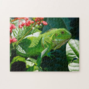 Green Iguana Lizard Legpuzzel