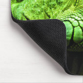 Green Iguana Muismat (Hoek)