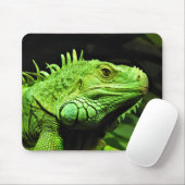 Green Iguana Muismat (Met muis)