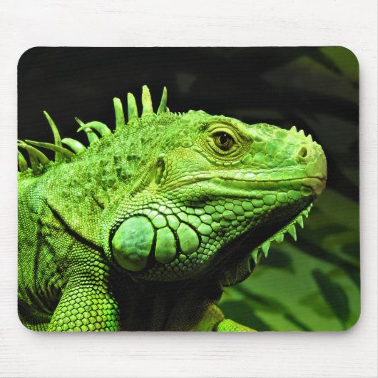 Green Iguana Muismat (Voorkant)