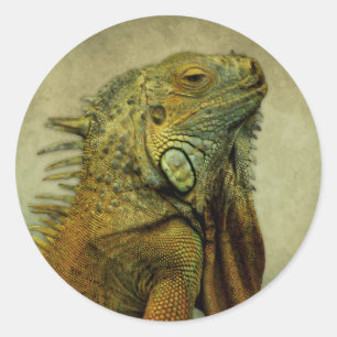 Green Iguana Ronde Sticker