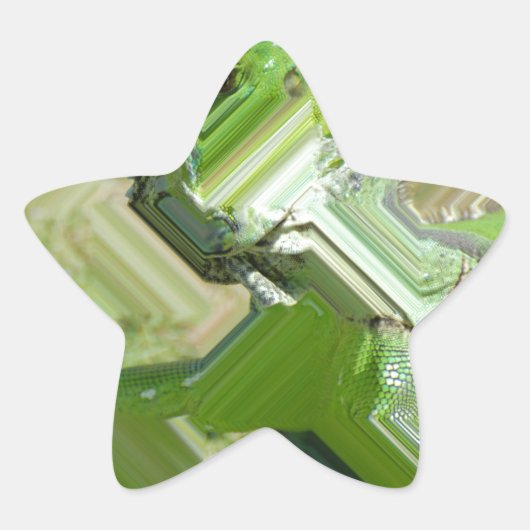 Green Iguana Ster Sticker (Voorkant)