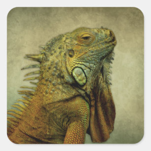 Green Iguana Vierkante Sticker