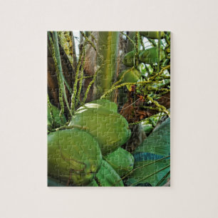 Green Island Coconuts Palm Tree Legpuzzel