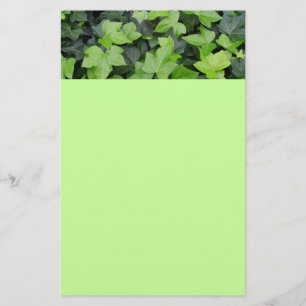 Green Ivy Botanical Print Briefpapier