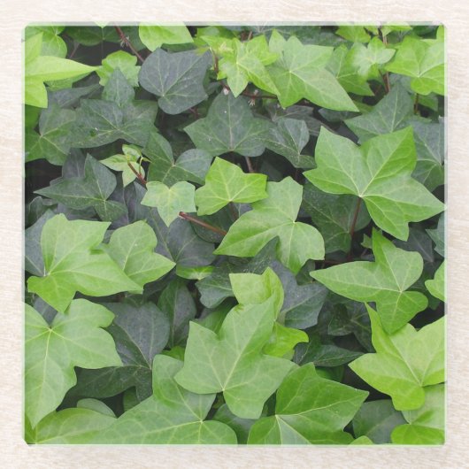 Green Ivy Botanical Print Glazen Onderzetter (Voorkant)