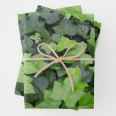 Green Ivy Botanical Print Inpakpapier Vel (In situ)