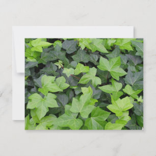 Green Ivy Botanical Print Kaart
