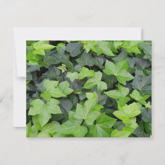 Green Ivy Botanical Print Kaart (Voorkant)