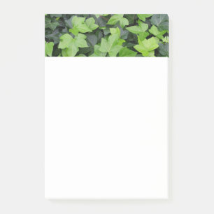Green Ivy Botanical Print Post-it® Notes
