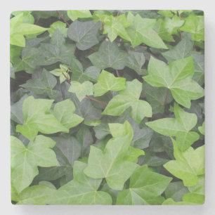Green Ivy Botanical Print Stenen Onderzetter