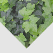 Green Ivy Botanical Print Tissuepapier (Detail)