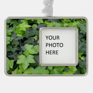 Green Ivy Botanical Print Verzilverd Kader Ornament