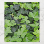 Green Ivy Botanical Print Wijn Etiket (Enkel label)